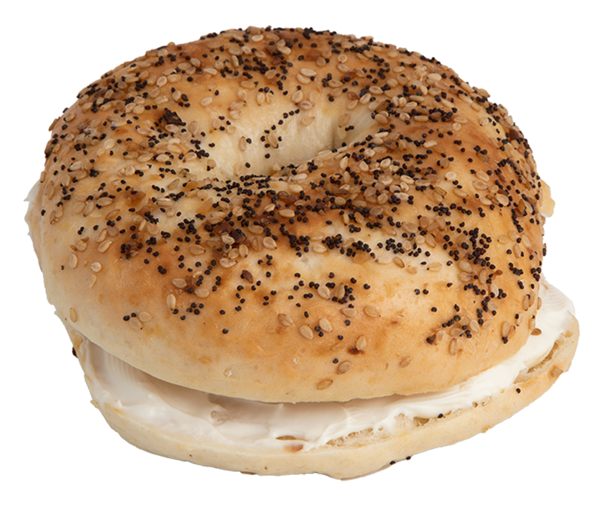 Everything Bagel Sandwich